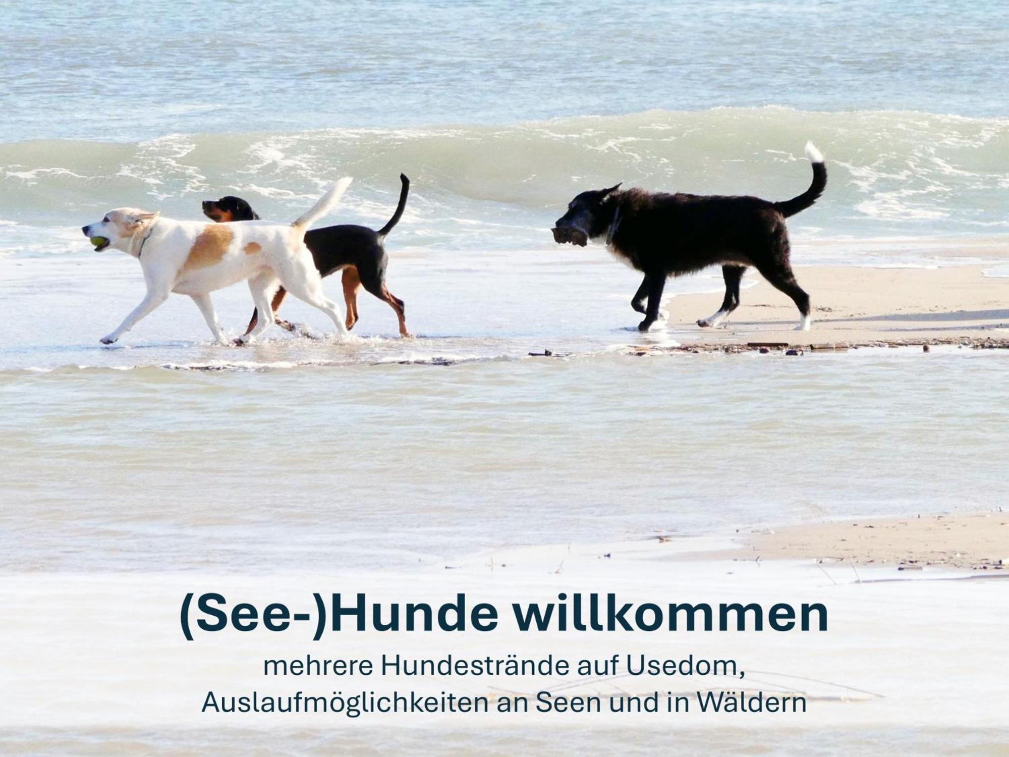 Ferienwohnung Ursel เฮริงสดอร์ฟ ภายนอก รูปภาพ